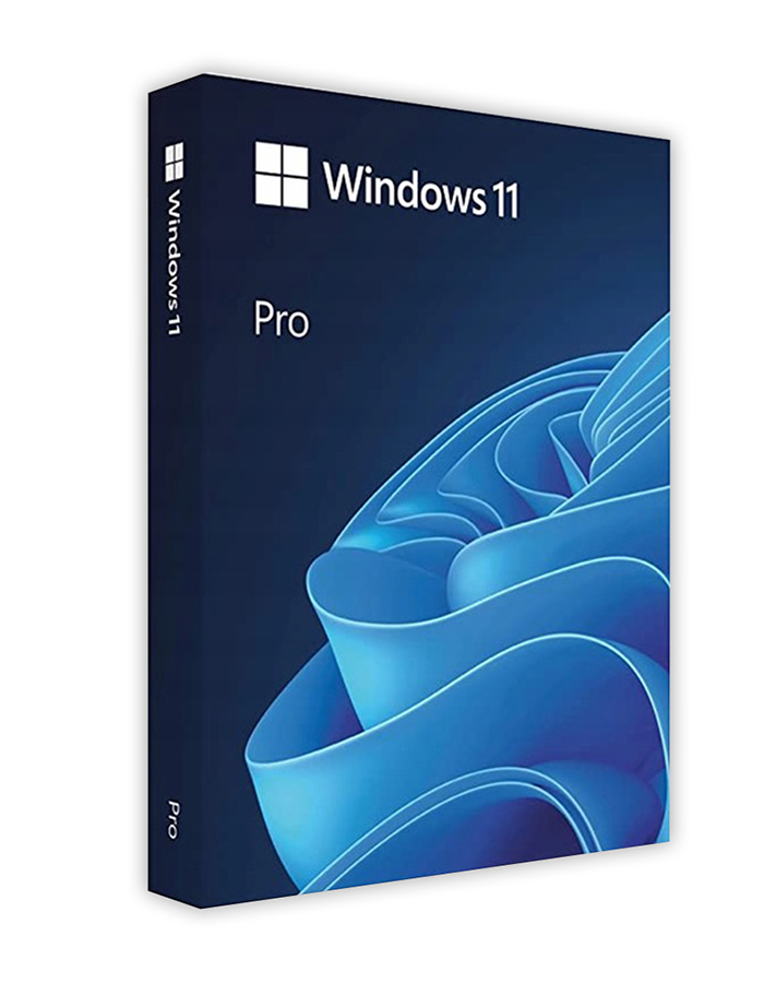 Windows 11 Pro License Key 1pc Activatorx 0463